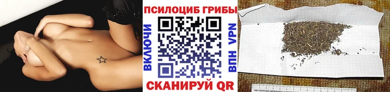 KRAKEN маркетплейс  Рошаль  Галлюциногенные грибы мухоморы  даркнет сайт 